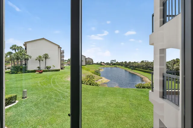 a view of a garden from a patio