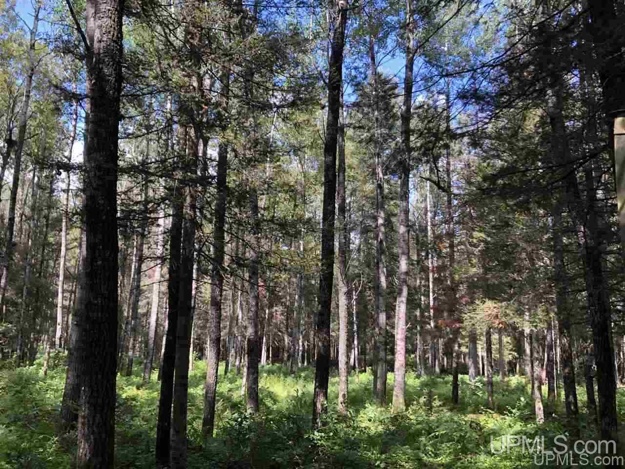 Tbd West Tower Road Ishpeming, MI 49849 - Photo 8 of 44