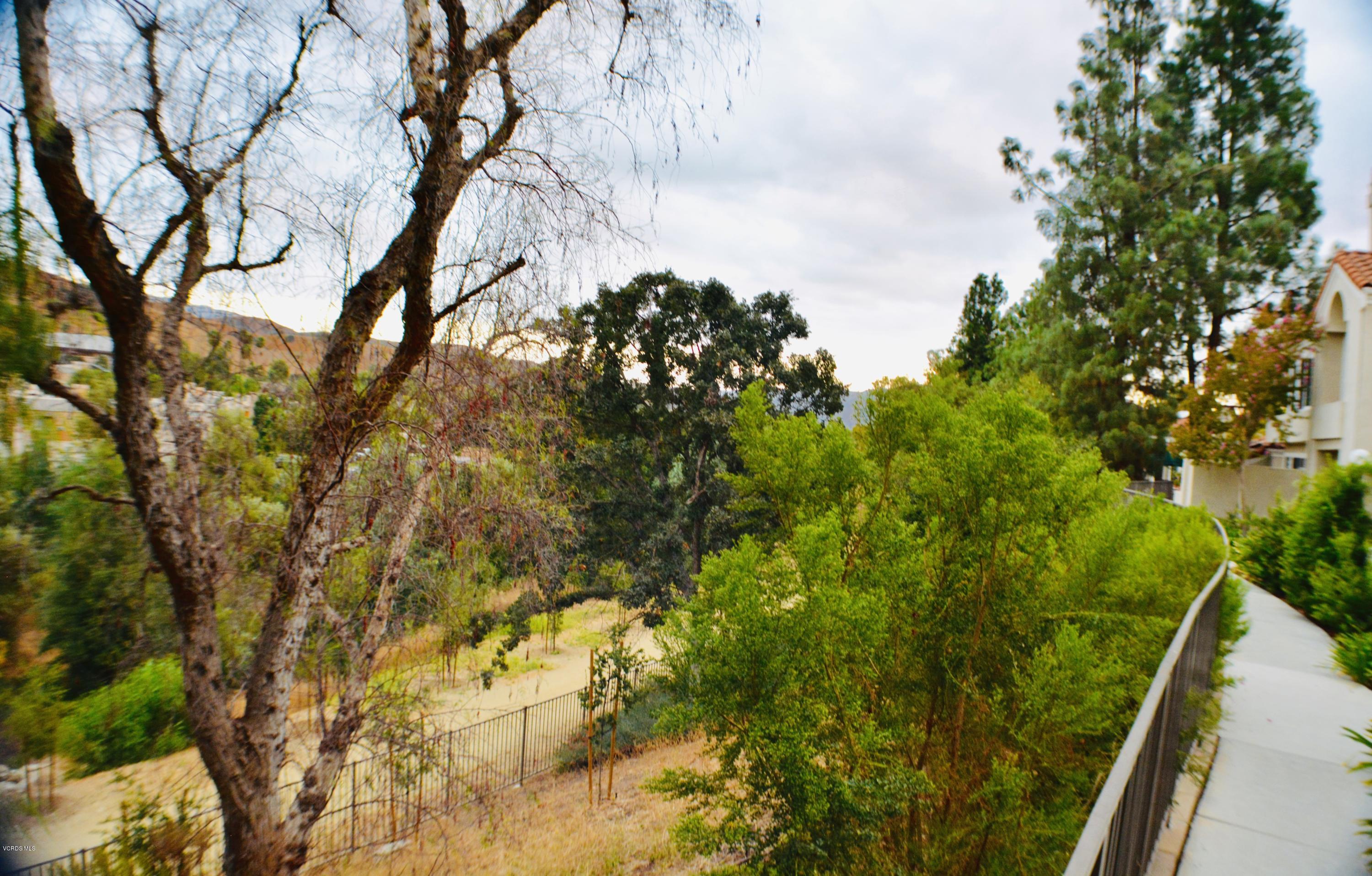 4240 Lost Hills Road, Unit 2907 Calabasas, CA 91301 - Photo 26 of 31 a picture of tree