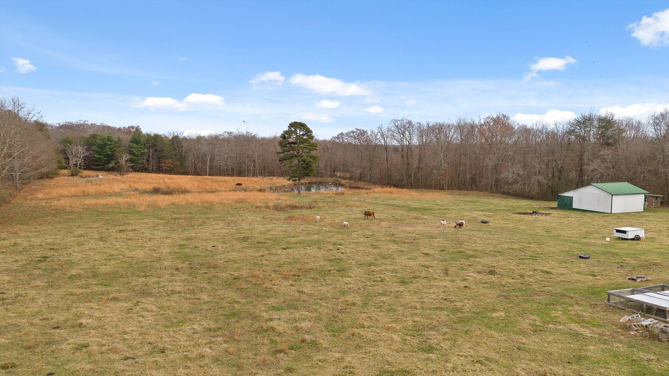 200 Burke Lane Dayton, TN 37321 - Photo 63 of 74 200 Burke Ln.