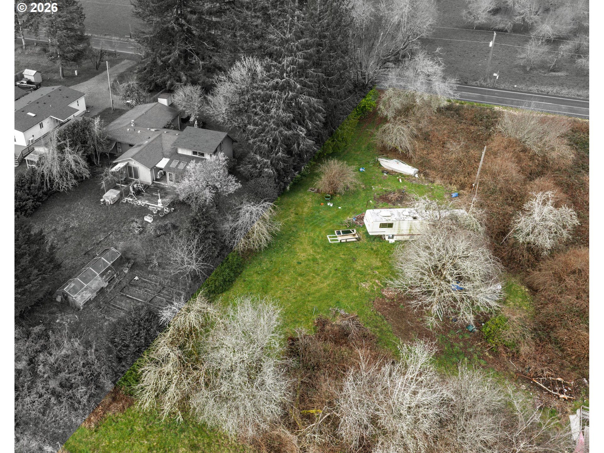a close up of a trees in a yard