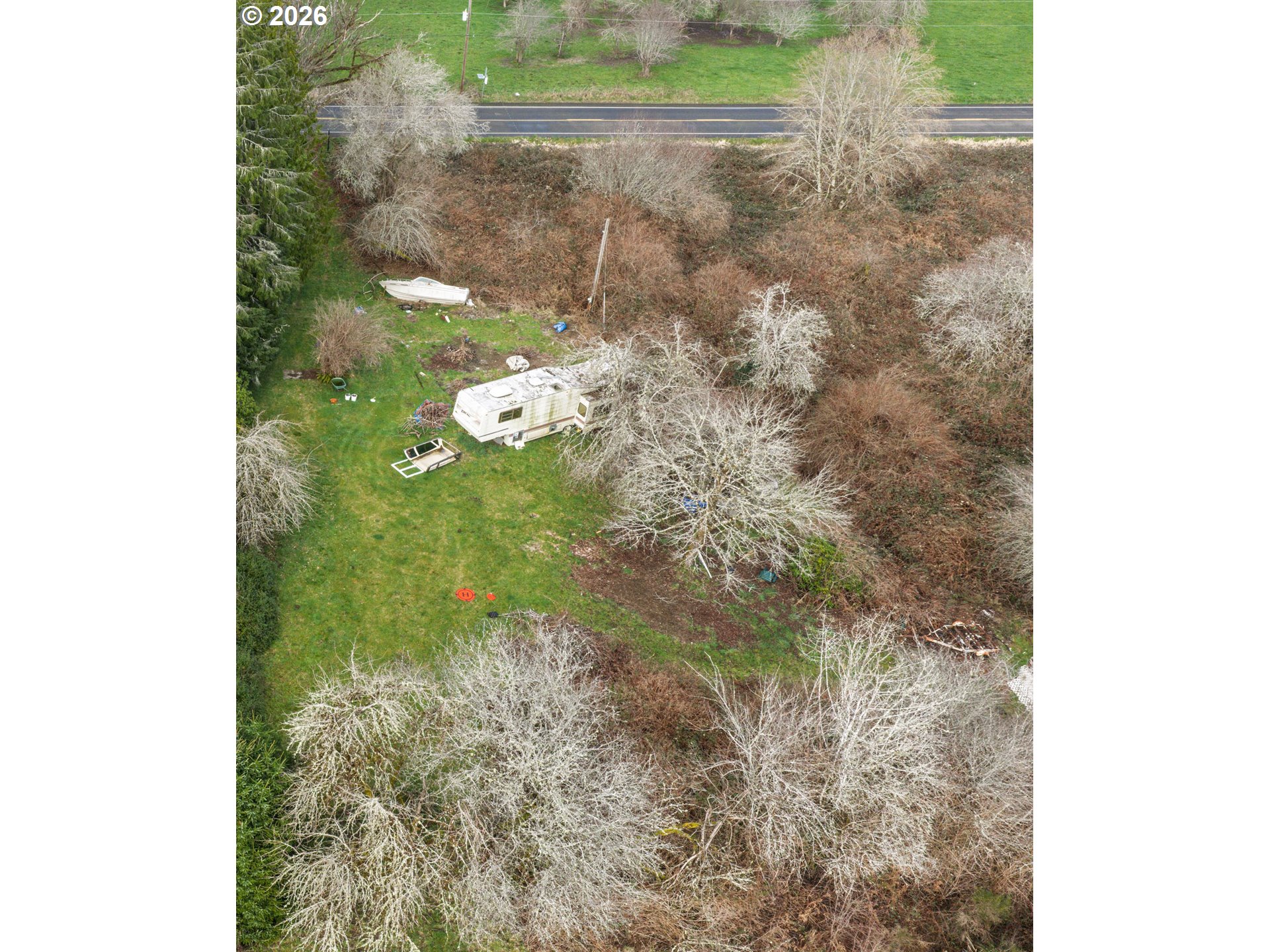 1355 Moonshine Park Road Logsden, OR 97357 - Photo 4 of 4 a close up of a plant in a garden