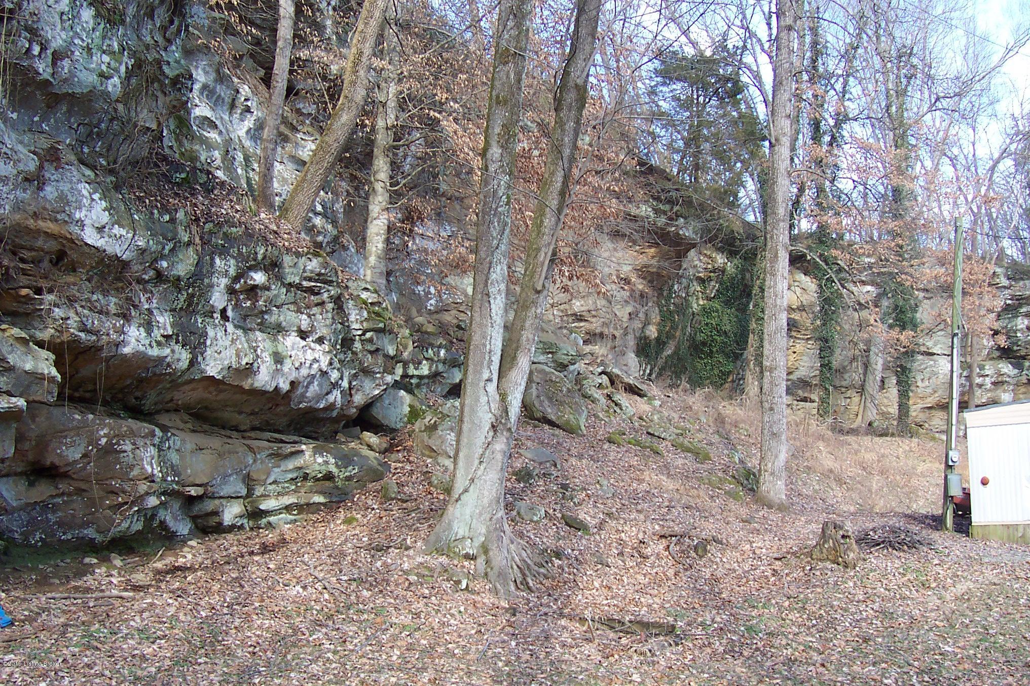 1341 Johnny Frank Road Leitchfield, KY 42754 - Photo 14 of 30 100_6957
