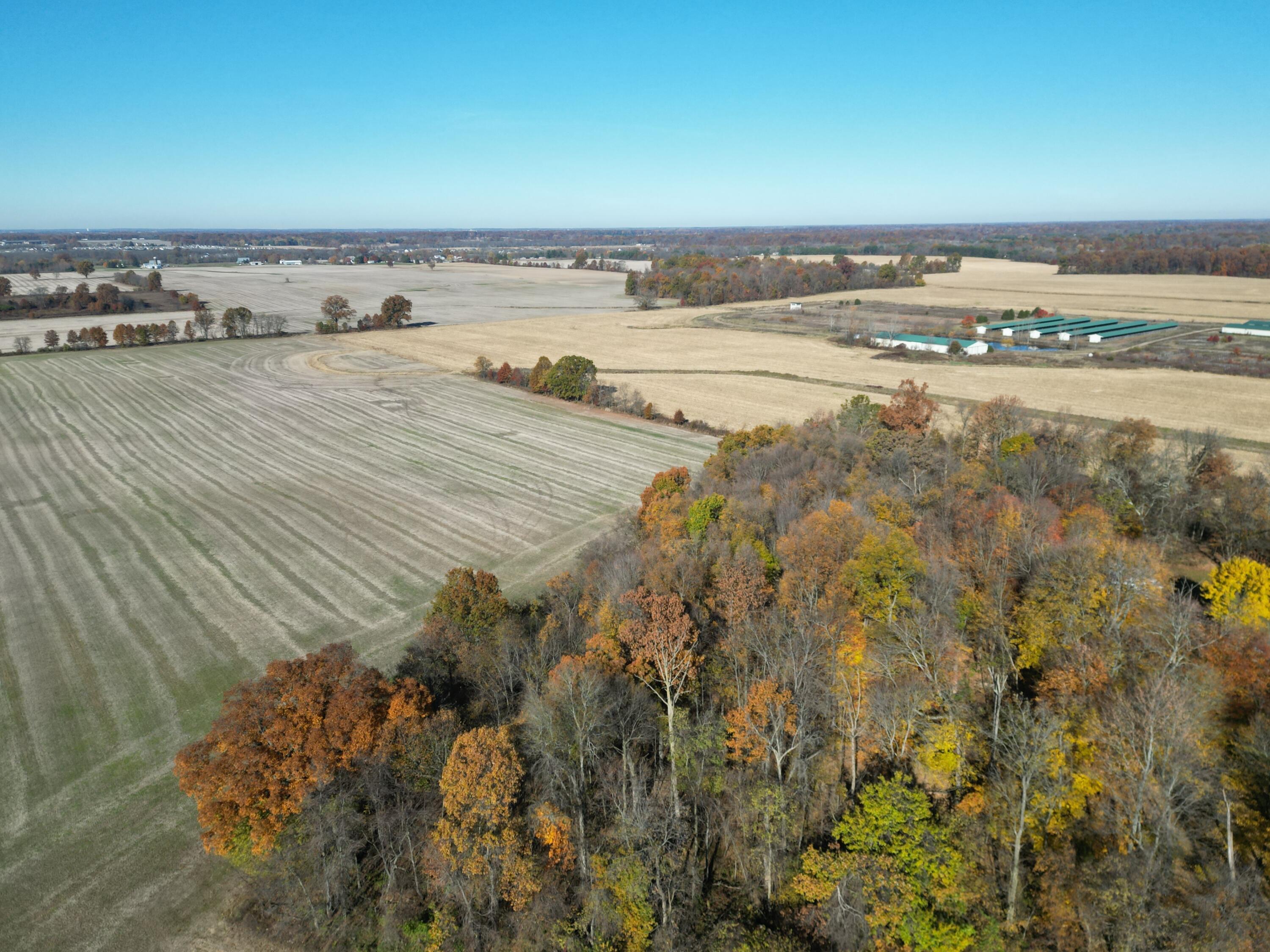 0 Blayney Road Sunbury, OH 43074 - Photo 13 of 18 13