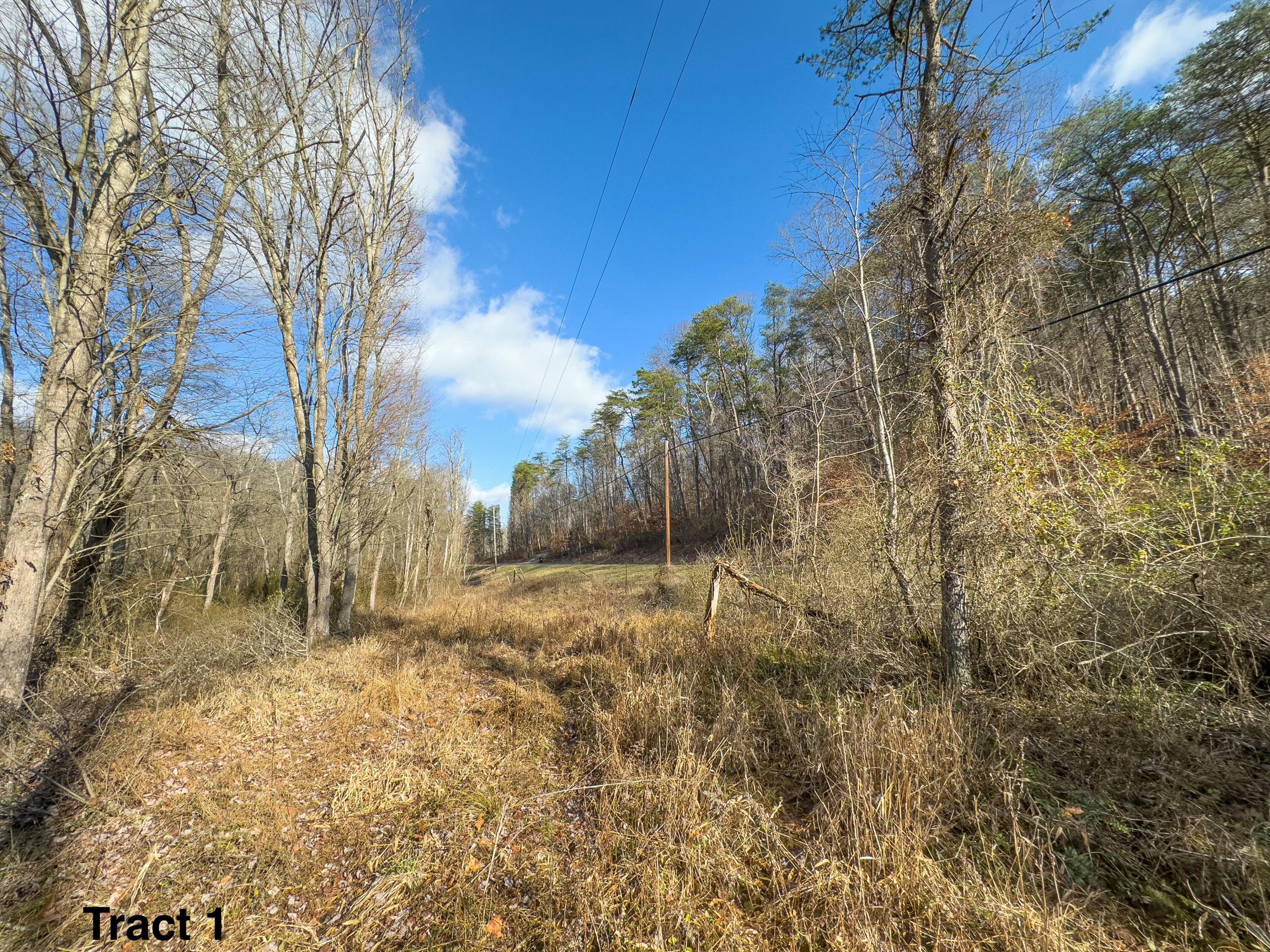 24453 Woltz Road Rockbridge, OH 43149 - Photo 15 of 28 tempImageK20cKJ