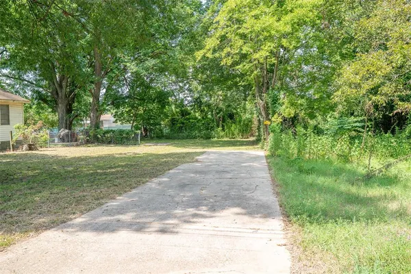 a view of a park with large trees