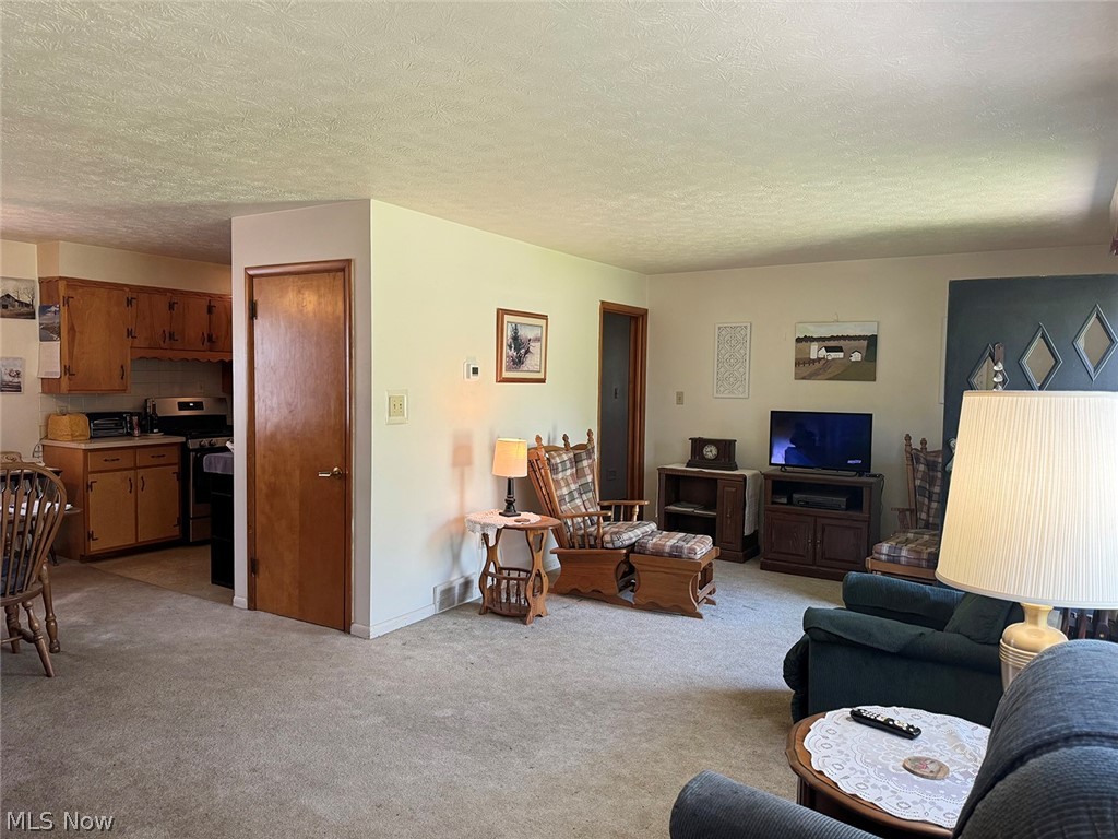 5934 Ryan Road Medina, OH 44256 - Photo 3 of 24 Carpeted living room with a textured ceiling