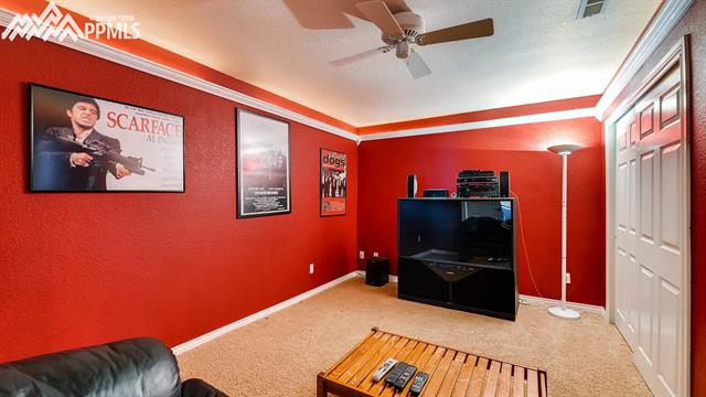 1325 Bowstring Road Monument, CO 80132 - Photo 26 of 36