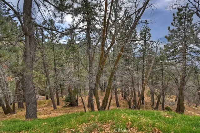 $525,000 | 32047 Pine Cone Drive, Running Springs, CA 92382