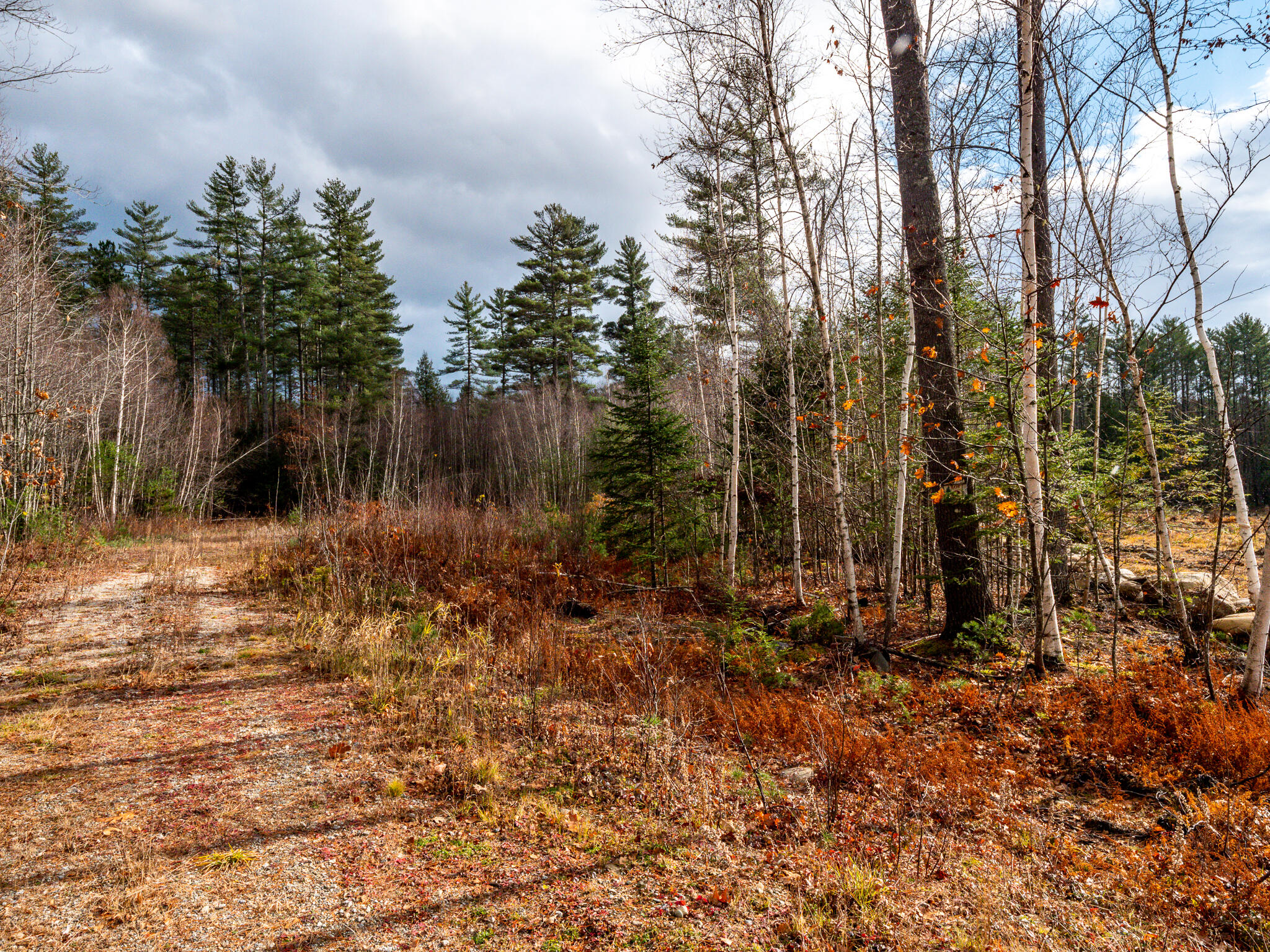 Lot 9 Deer View Road Bethel, ME 04217 - Photo 12 of 13 Deer View Lot 9-25