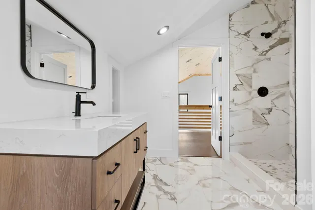 a bathroom with a sink a vanity and shower