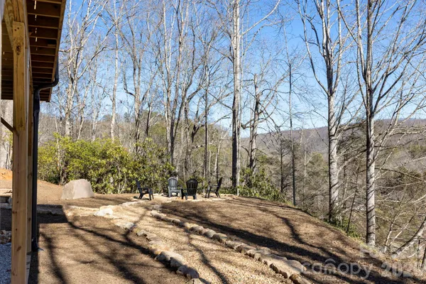 a view of a yard with trees