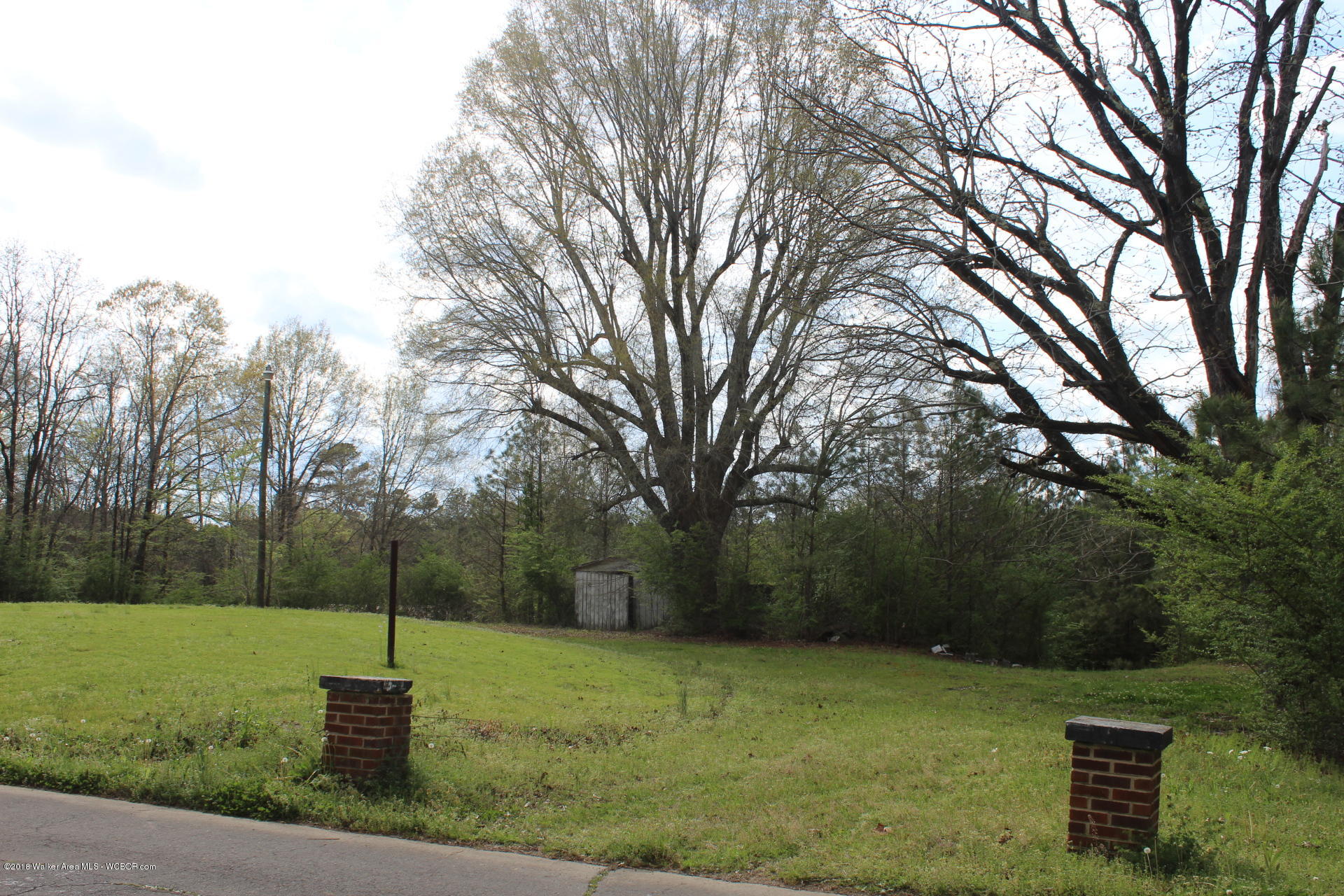 604 Old Parrish Loop Parrish, AL 35580 - Photo 4 of 5 Gallery Image 4