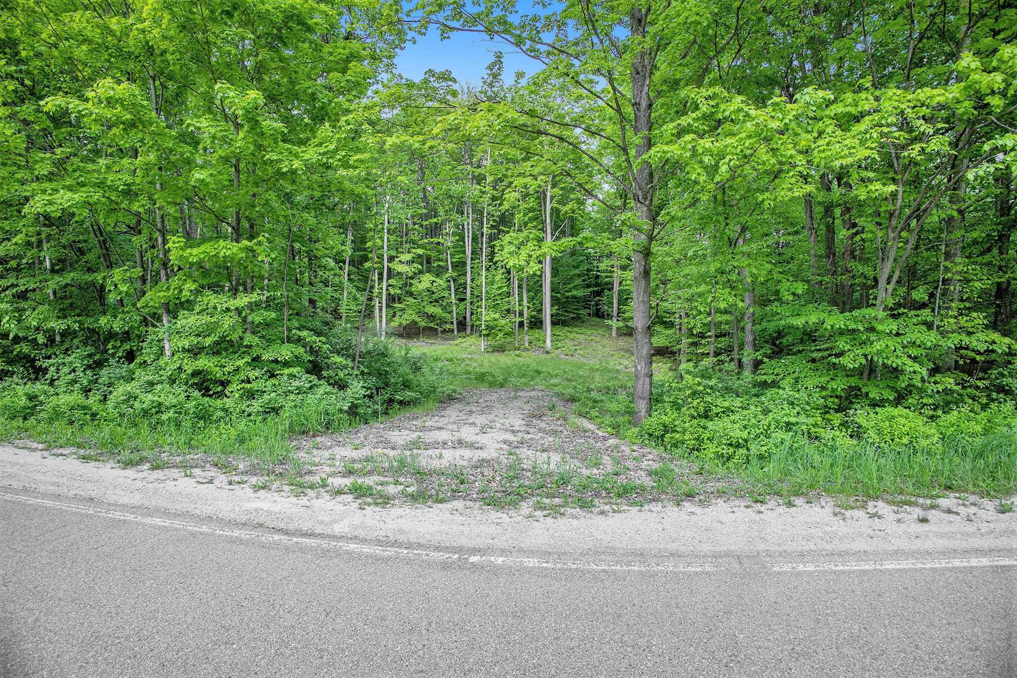 0 Warren Road Beulah, MI 49617 - Photo 5 of 19 Gallery Image 5