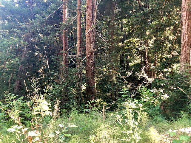 9.25-acre Eggert Road Eureka, CA 95503 - Photo 17 of 29