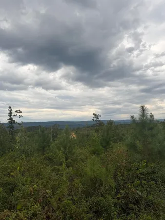$59,000 | Lot 2 Bethel Road, Unit LOT 2, Valley Head, AL 35989