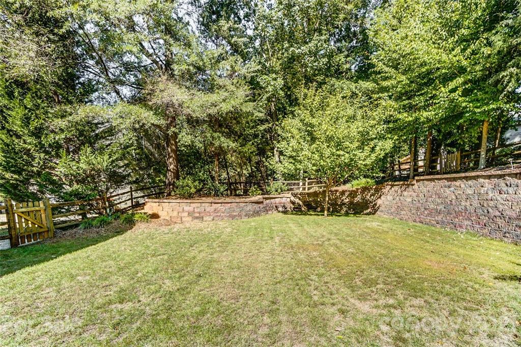 744 West Cheval Drive Fort Mill, SC 29708 - Photo 46 of 47 a view of yard with large trees
