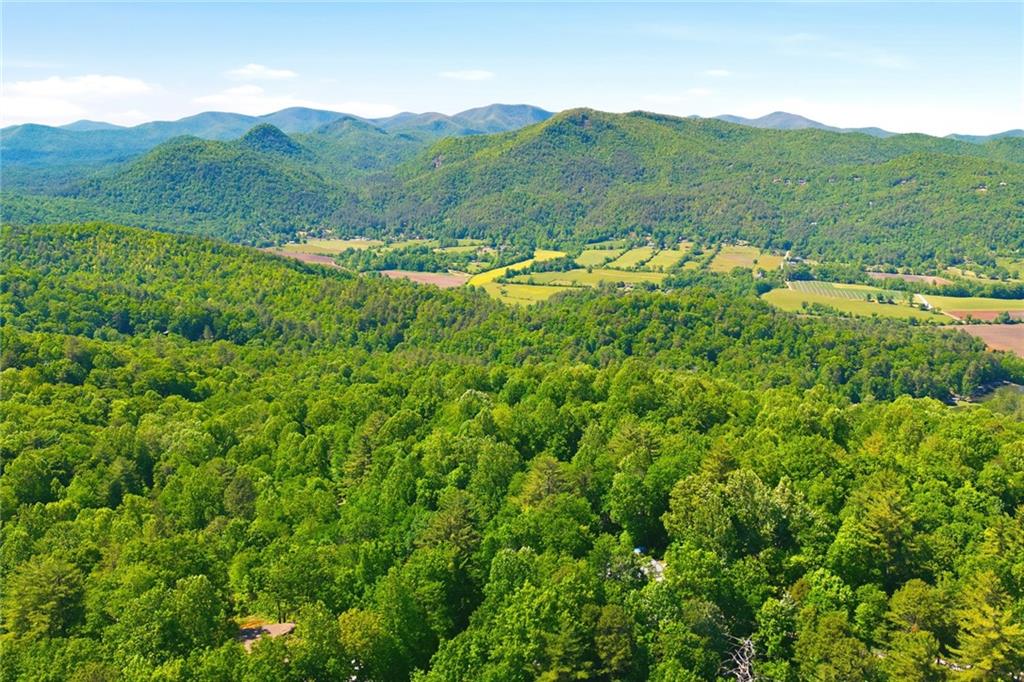 46 Spartan Lane Rabun Gap, GA 30568 - Photo 80 of 89