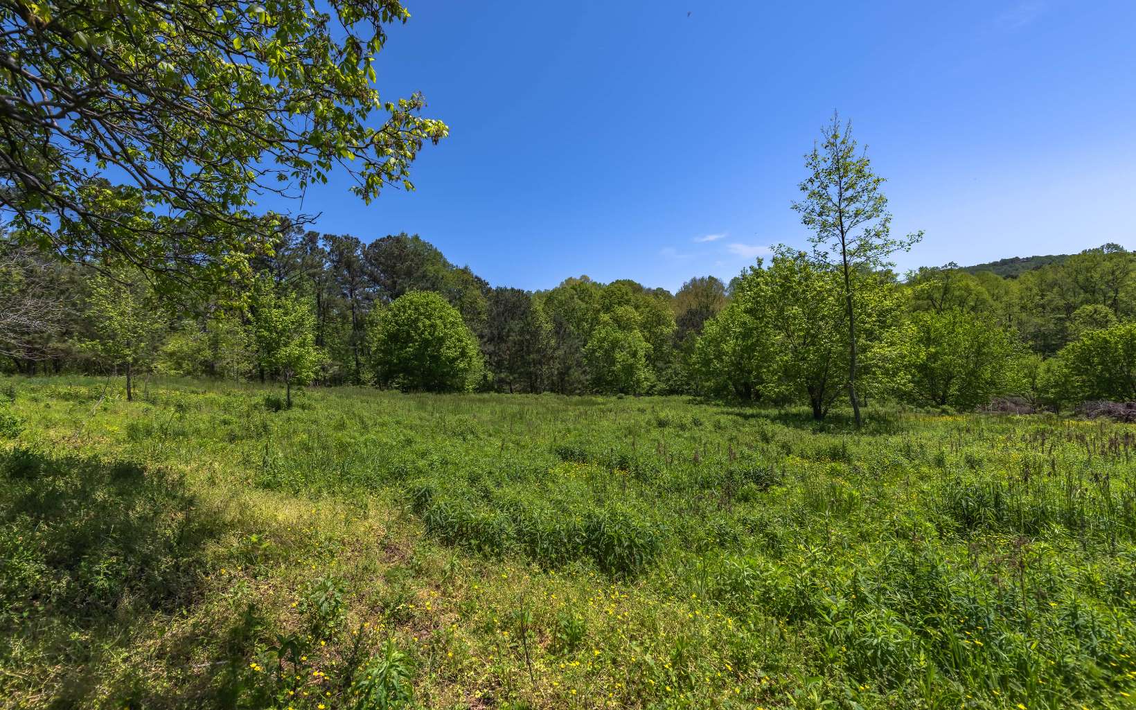 Brawner Road Talking Rock, GA 30175 - Photo 1 of 1 Main View