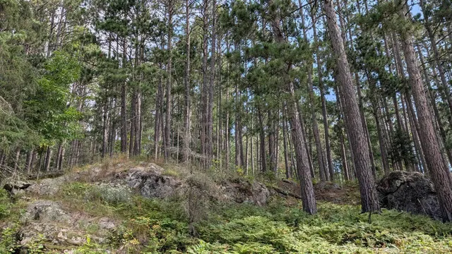 $800,000 | 8884 Raps Road, Cook, MN 55723