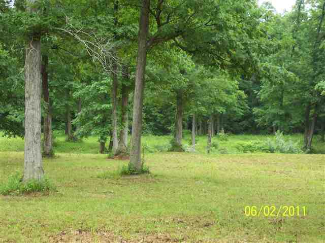Lot 1 Cooper Road Morton, IL 61550 - Photo 3 of 5 Gallery Image 3