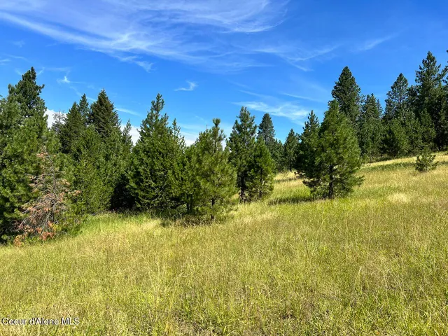 $209,900 | Nka South Nka Fork, Tensed, ID 83870