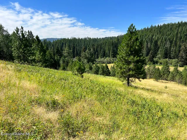 $209,900 | Nka South Nka Fork, Tensed, ID 83870