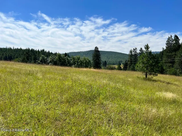 $209,900 | Nka South Nka Fork, Tensed, ID 83870