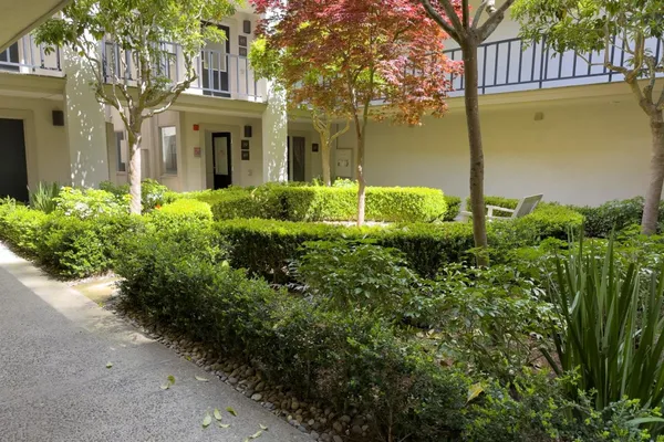 a view of a house with a garden