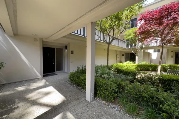 a view of backyard of house