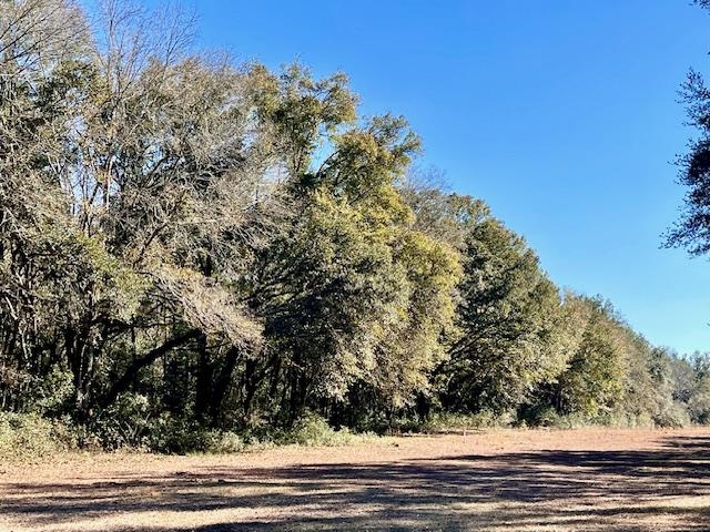 19500 Bohemian Hall Road Silverhill, AL 36576 - Photo 1 of 1