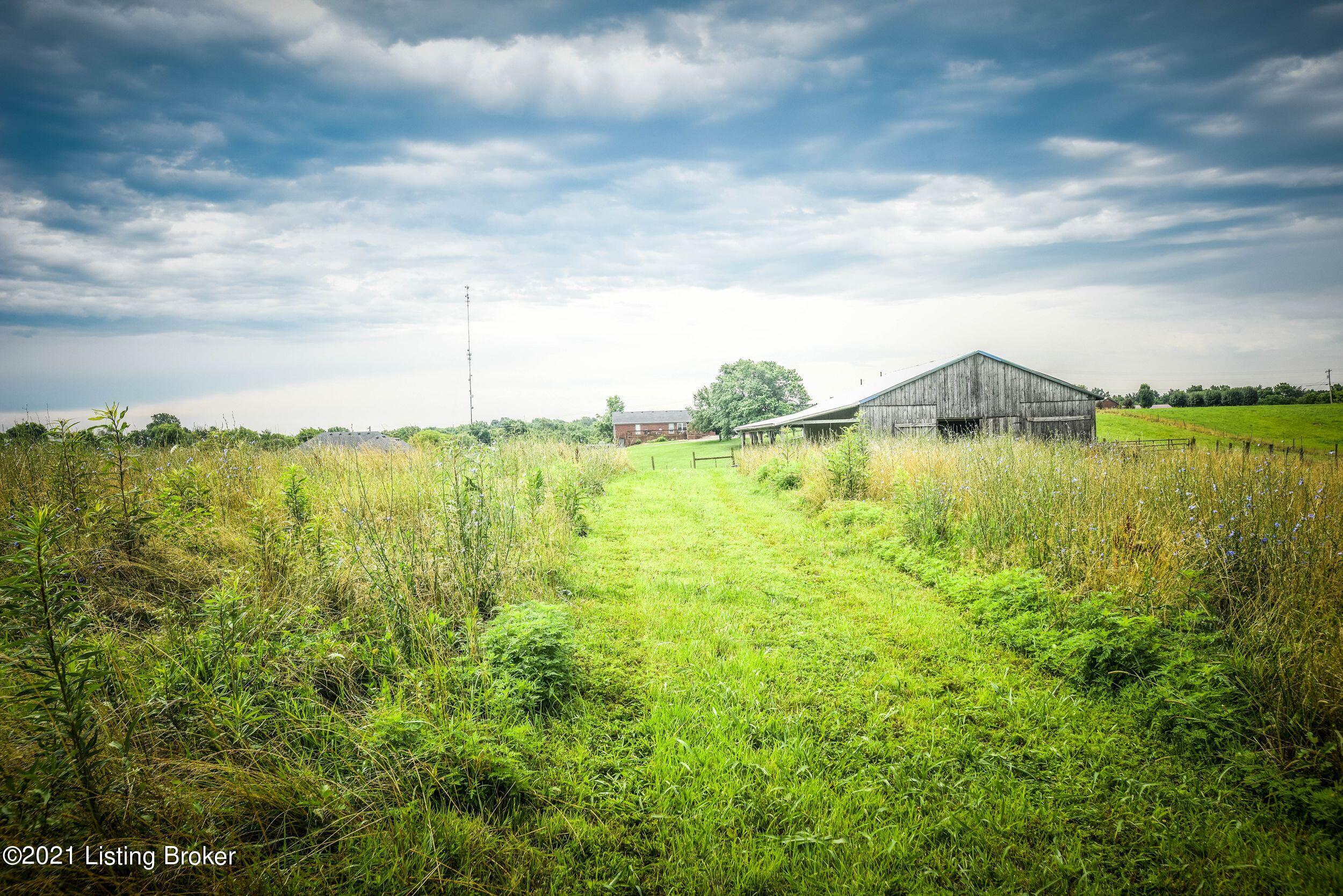 4740 Bloomfield Road Bardstown, KY 40004 - Photo 67 of 76 qPWPbAQA