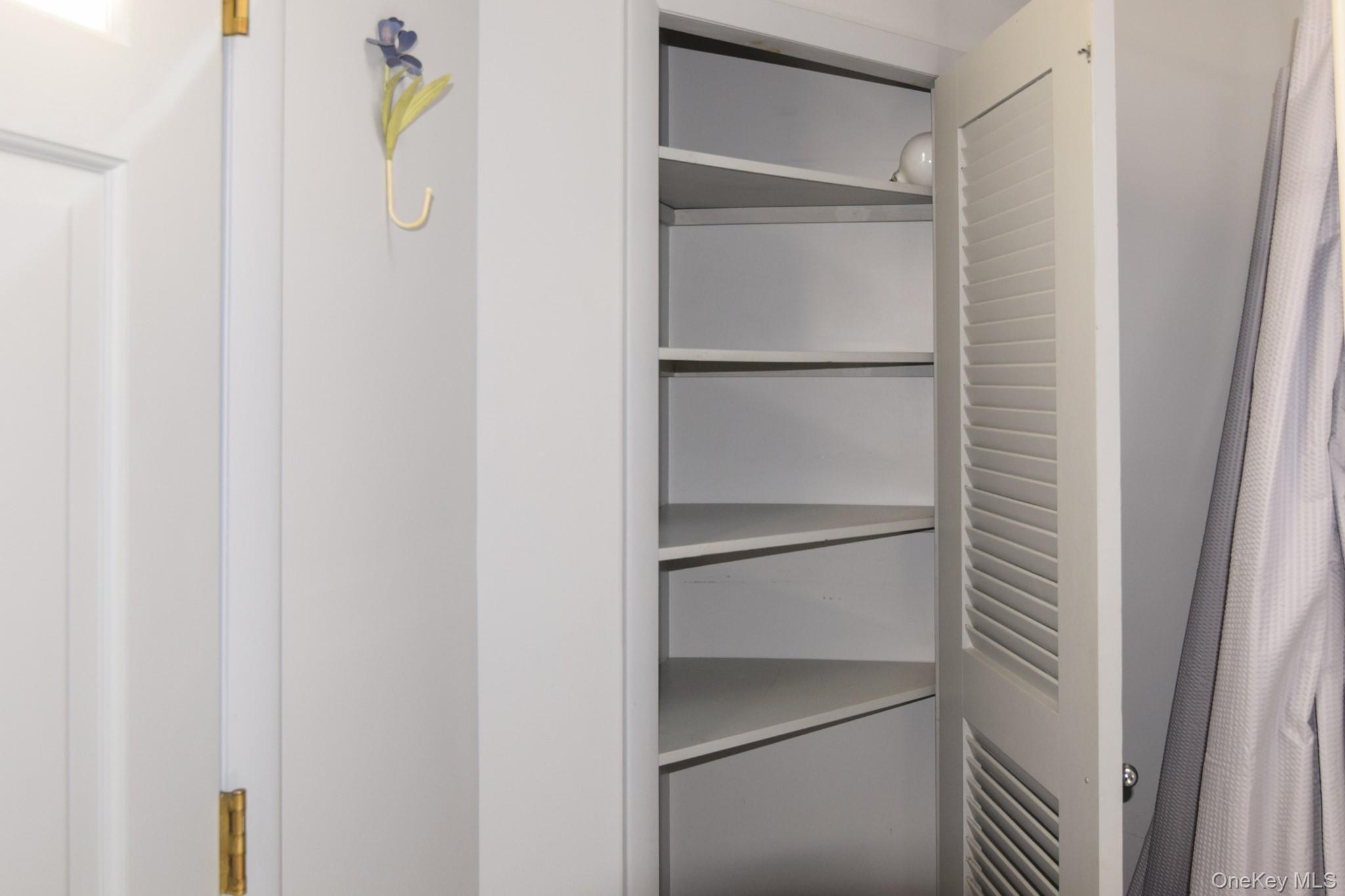 94 Hilltop Road Rhinebeck, NY 12572 - Photo 22 of 28 a close view of walk in closet with empty racks