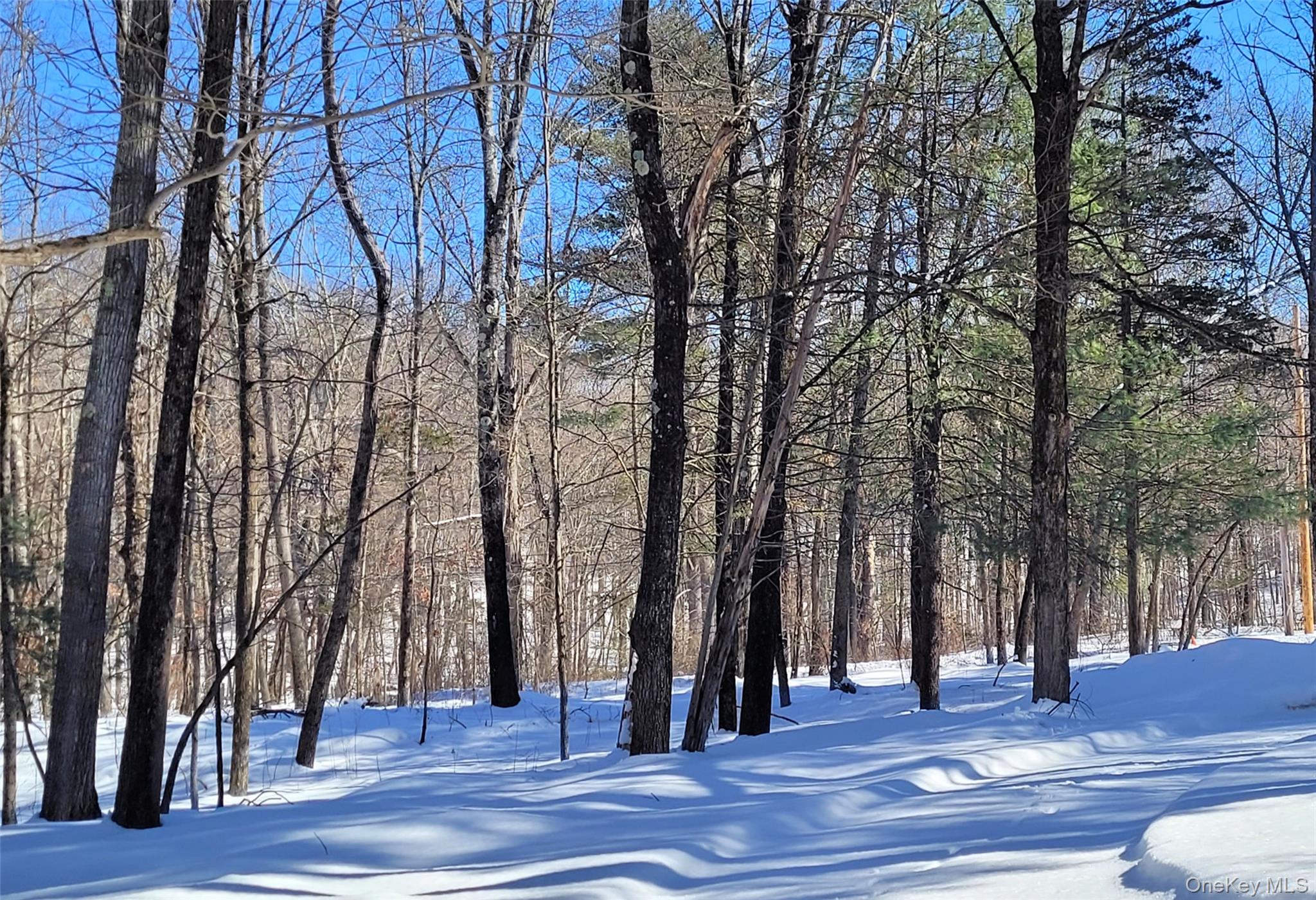 94 Hilltop Road Rhinebeck, NY 12572 - Photo 28 of 28 a view of a trees and pathway of a house