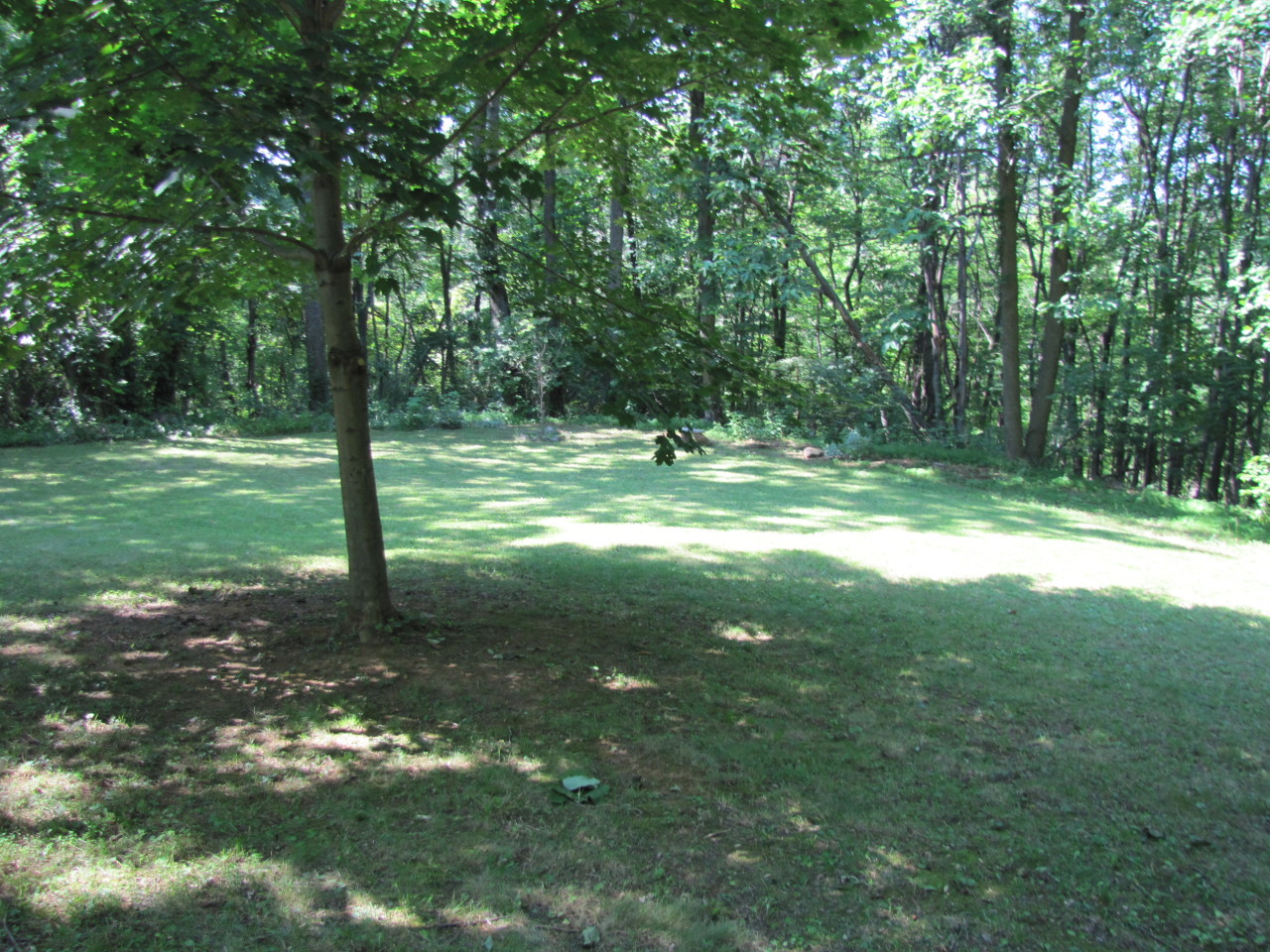 4759 Mountain View Church Road Blue Ridge, VA 24064 - Photo 20 of 26 yard2