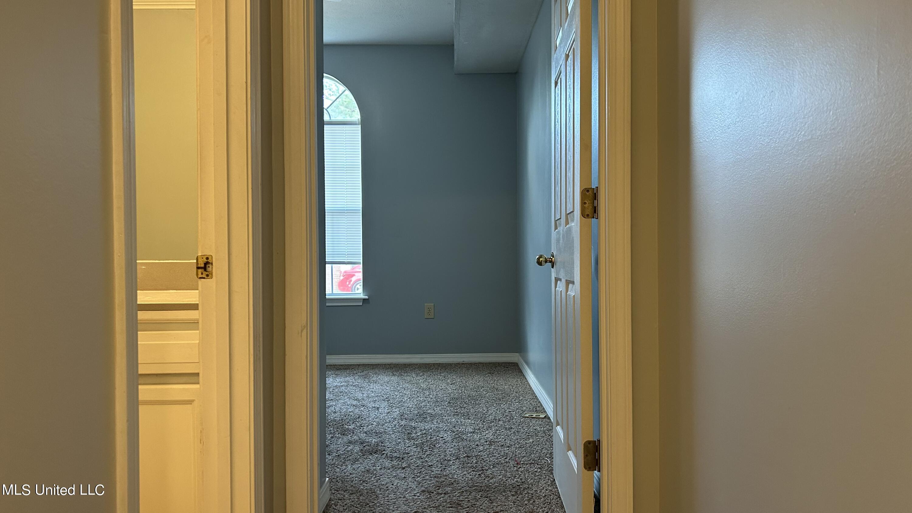 509 Harbor Ridge Drive Brandon, MS 39047 - Photo 18 of 25 IMG_E2369