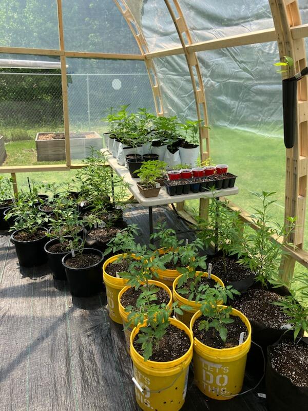 11 Trask Road Benton, ME 04901 - Photo 28 of 40 Greenhouse