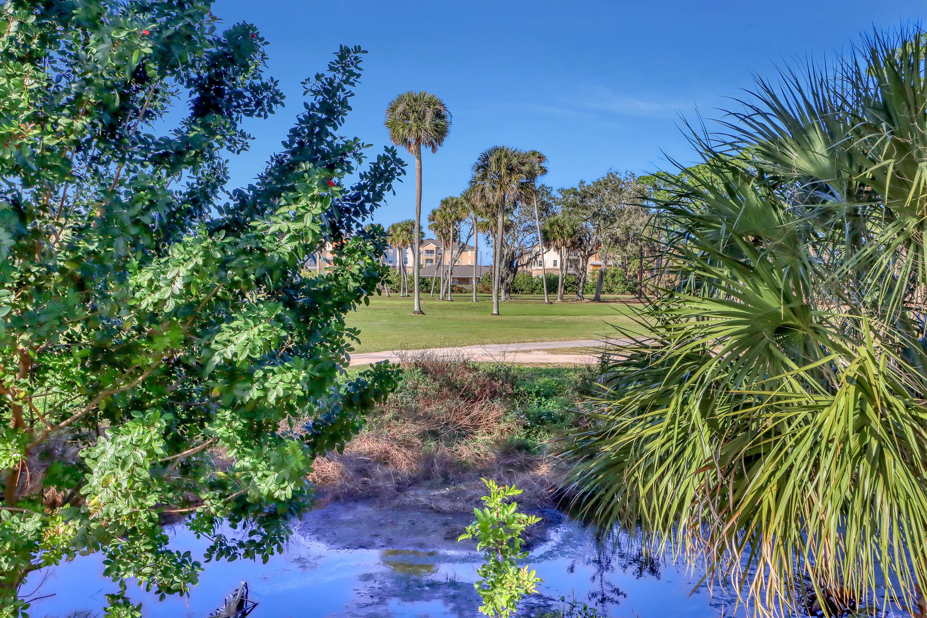 1358 Outrigger Circle Rockledge, FL 32955 - Photo 48 of 48 a view of a park with plants and a trees