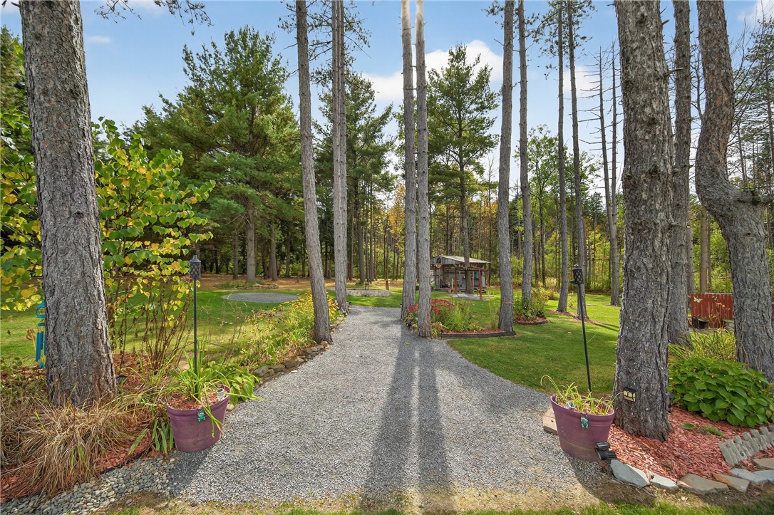 2070 Beach Road Watkins Glen, NY 14891 - Photo 41 of 48