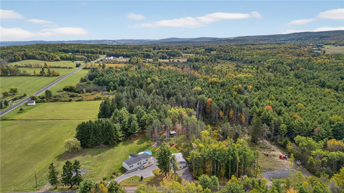 2070 Beach Road Watkins Glen, NY 14891 - Photo 46 of 48