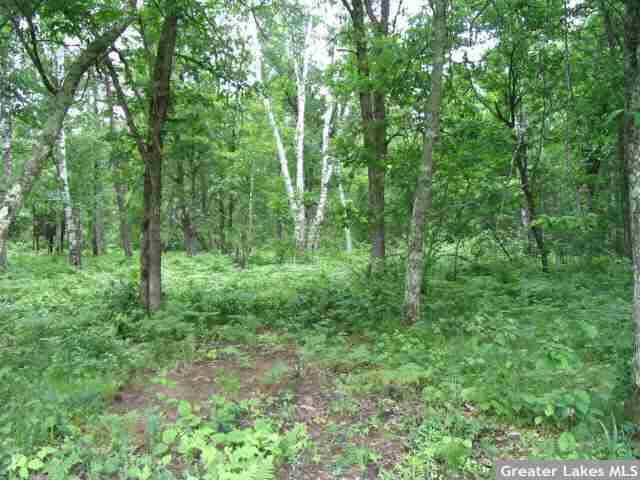 25733 Sunset Valley Road Pequot Lakes, MN 56472 - Photo 14 of 16 Gallery Image 14