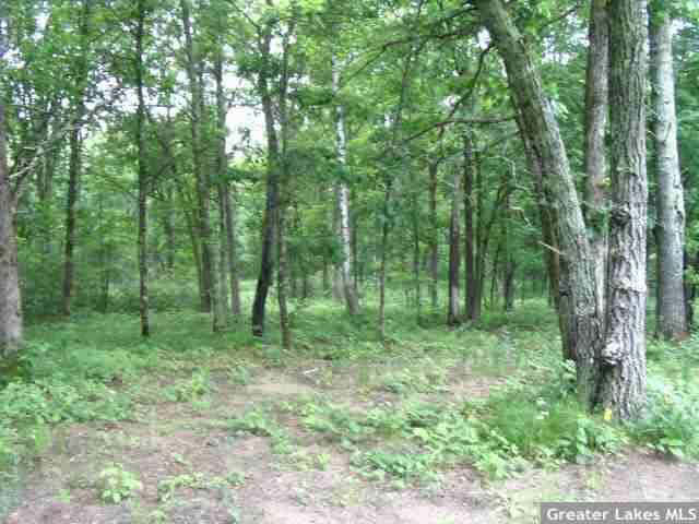 25733 Sunset Valley Road Pequot Lakes, MN 56472 - Photo 15 of 16 Gallery Image 15