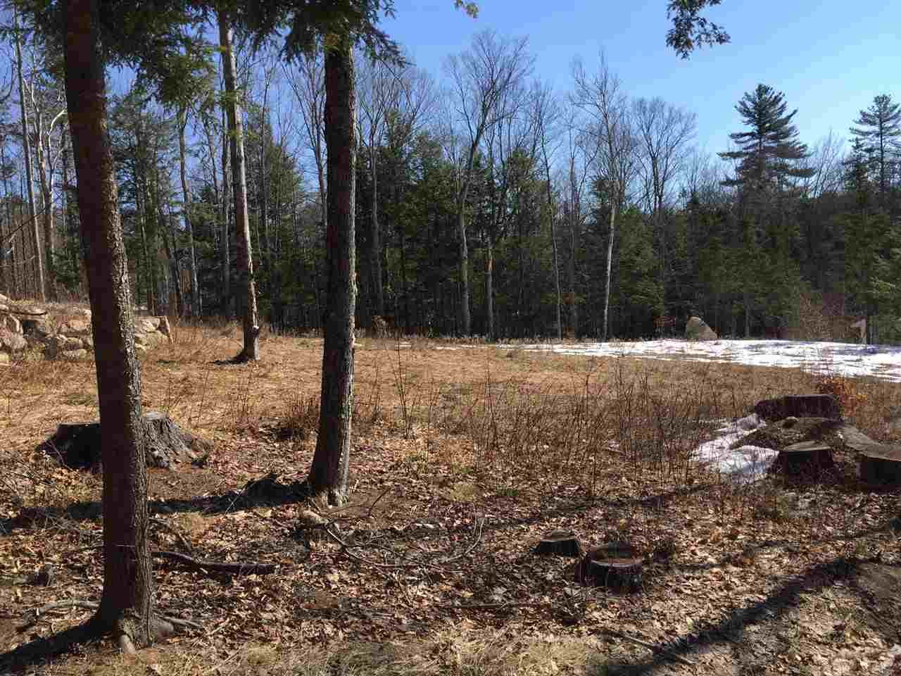 Lot U22 Tamarack Road Thornton, NH 03285 - Photo 3 of 6