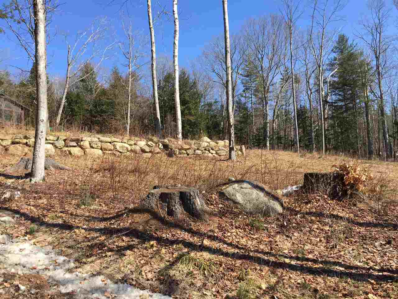 Lot U22 Tamarack Road Thornton, NH 03285 - Photo 4 of 6