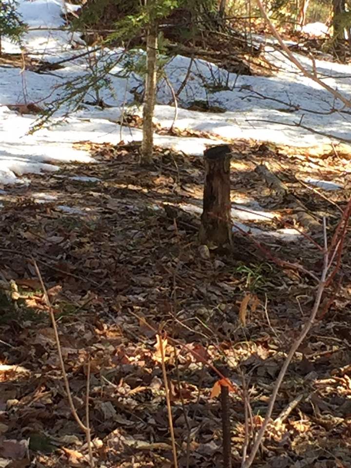 Lot U22 Tamarack Road Thornton, NH 03285 - Photo 6 of 6