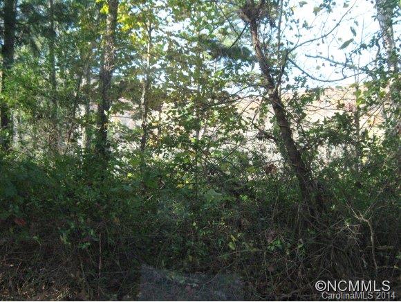 0 Propst Road Candler, NC 28715 - Photo 1 of 1 Gallery Image 1