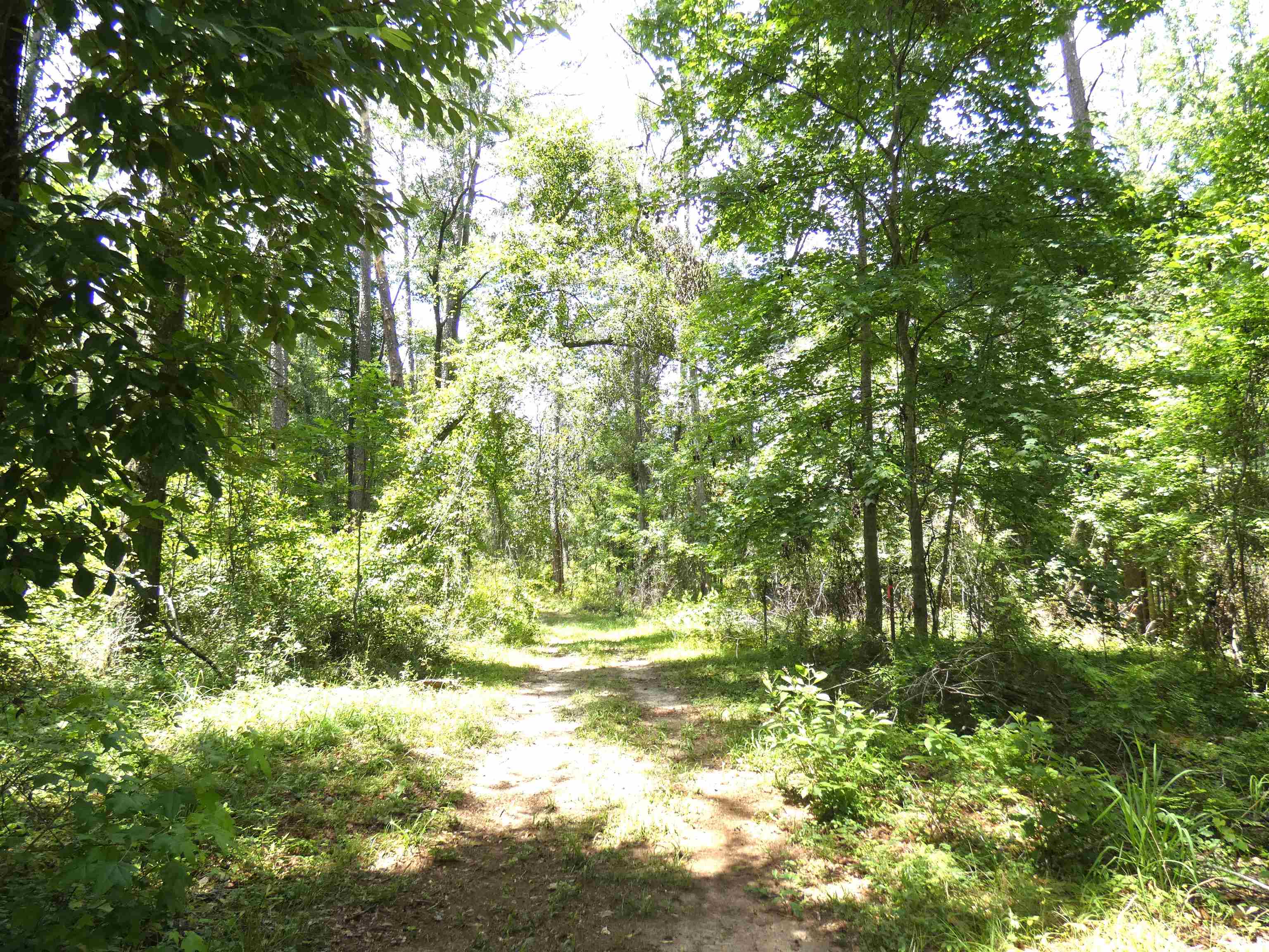Tbd Gamble Road Monticello, FL 32344 - Photo 3 of 9