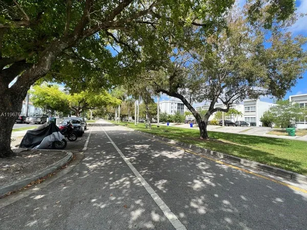 a view of a park with large trees