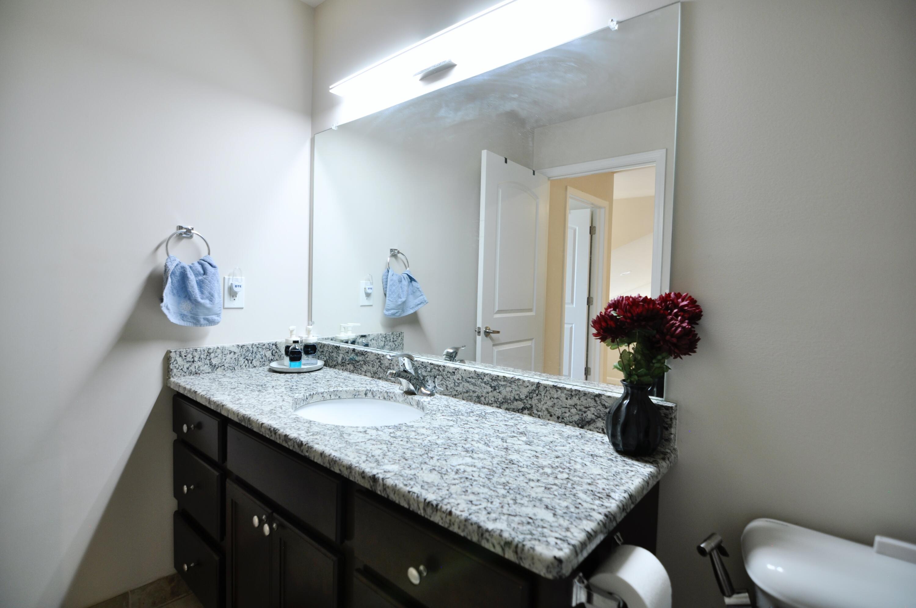 4481 Bridgeview Lane Canton, MI 48188 - Photo 47 of 59 047