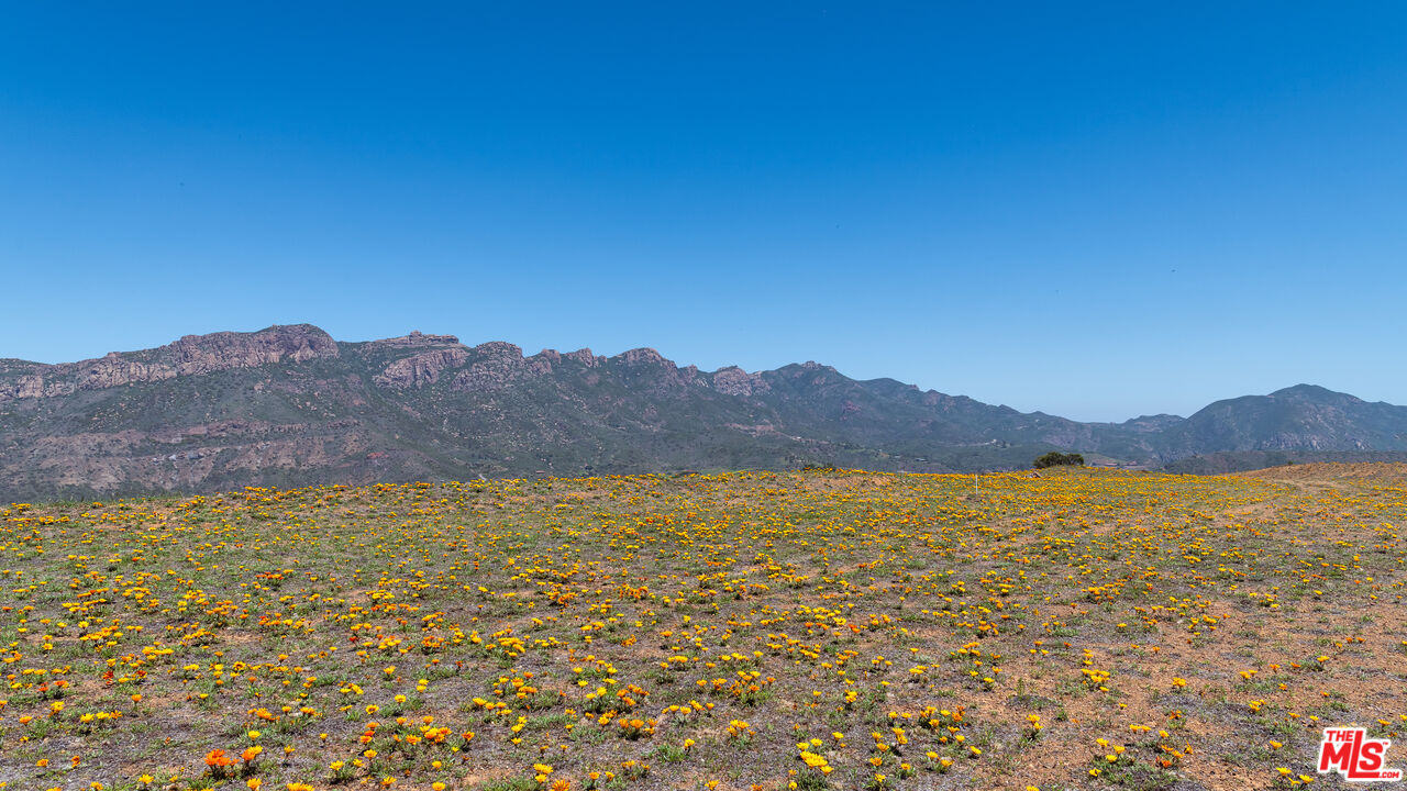 9522 Cotharin Road Malibu, CA 90265 - Photo 9 of 25 a view of an ocean and a mountain